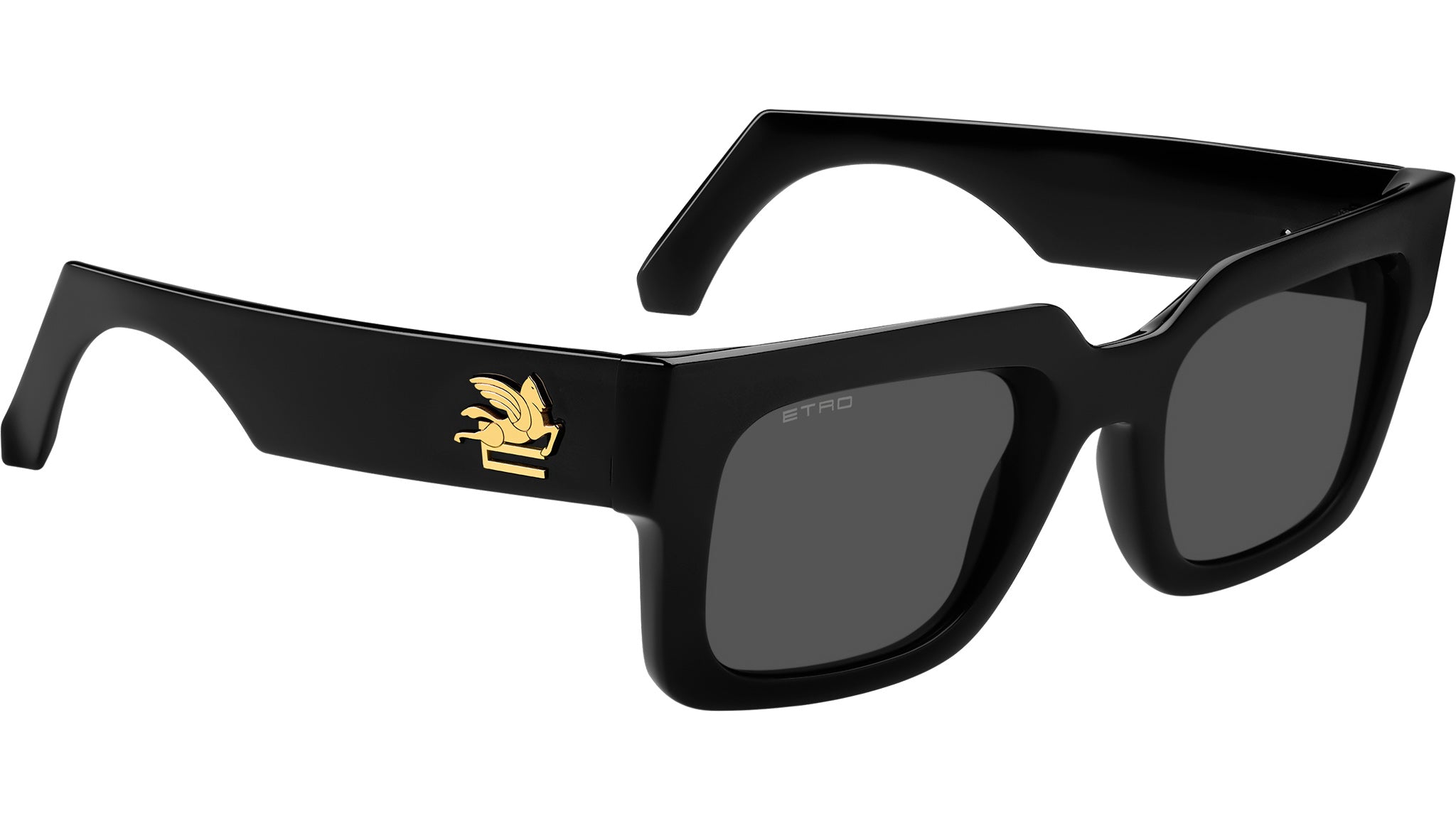 Etro Sunglasses, New 225 Etro Bold Pegaso Curved Acetate Sunglasses | Neiman Marcus main image 2