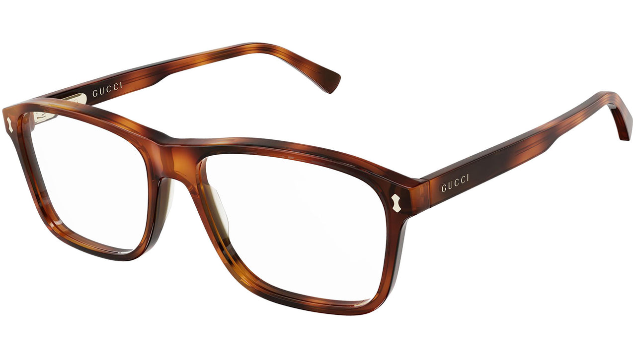 GG1045O 002 dark tortoise