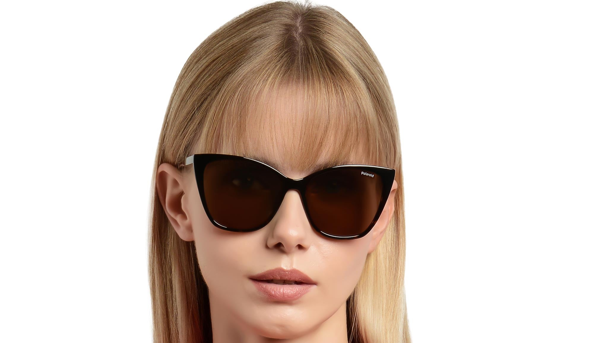 Polaroid PLD 4181/S 086 SP Sunglasses Havana - eye-oo.com