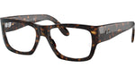 Nomad Wayfarer Optics RB5487 2012