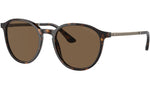 AR 8196 502673 Tortoise
