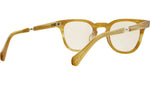 Dean C Honey Tortoise