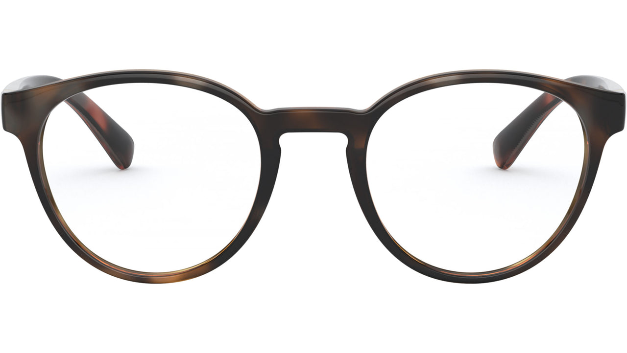 DG 5046 502 tortoise