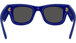 Wayfarer Puffer RB4940BP 686787