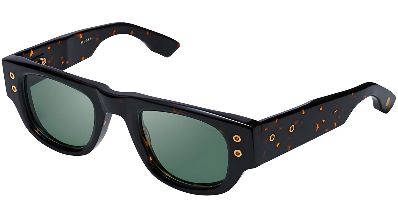 Muskel DTS701 02 Tortoise