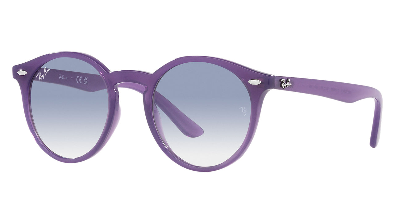 RJ9064S 713119 Purple