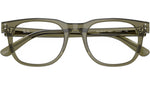 RB5461D Optics 8501