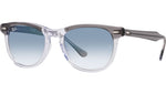 Eagleeye RB2398 13553F grey