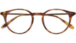 Clune J Hazel Tortoise Gold