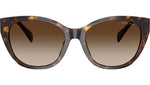 RA5324U 500313 Dark Havana