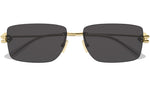 BV1126S 002 shiny gold