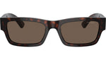 PR A03S 17N08T Tortoise