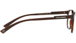 DG 5063 3295 brown