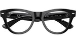 RB5510 Optics 2000