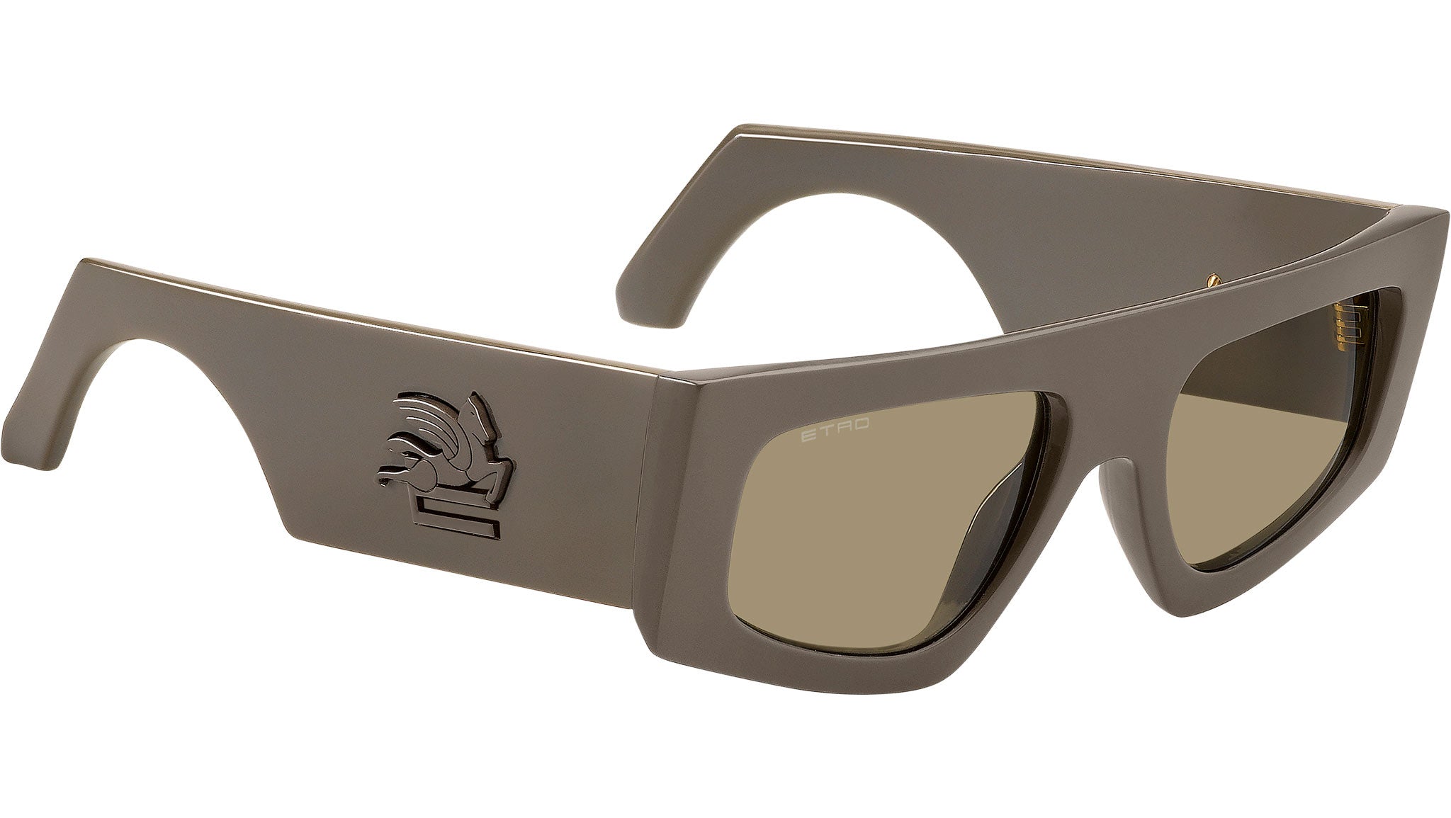 Etro 0032/G/S 79U QT Sunglasses Mud - Main Image