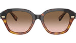 BC4004S 102851 Havana
