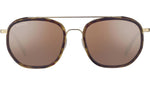 Boron SS525 001 Tortoise