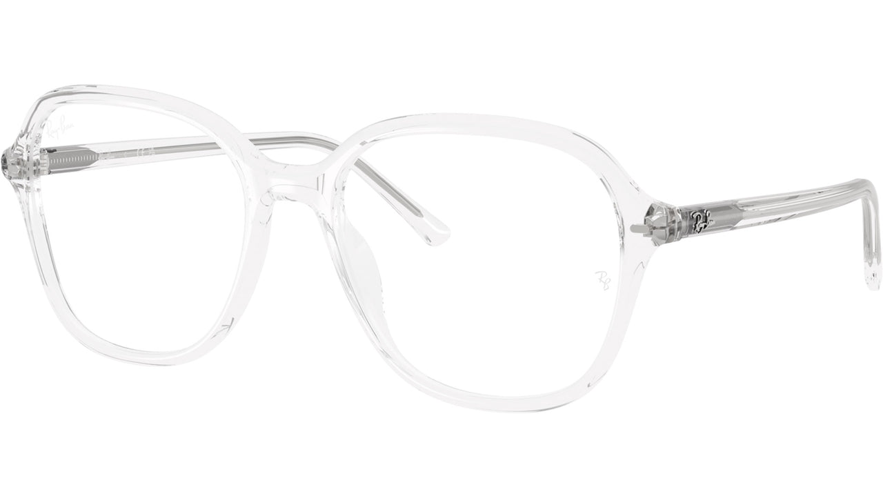 RB5456 Optics 2001