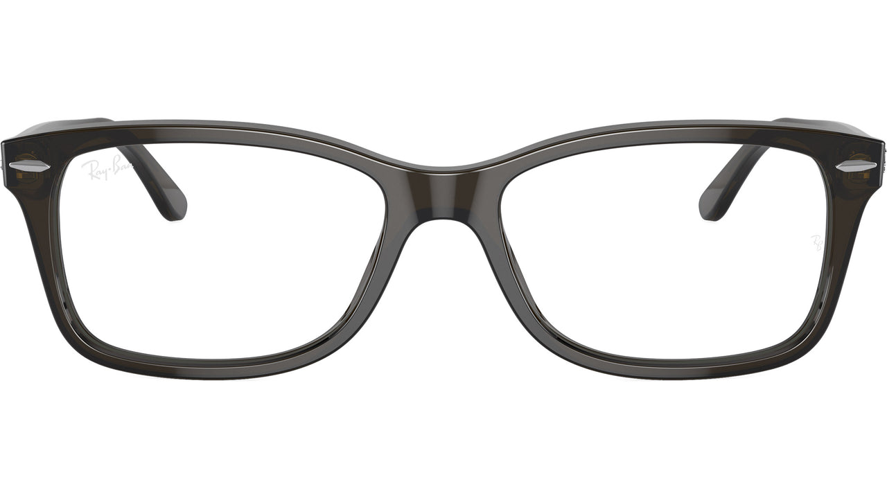 RB5428 Optics 8299