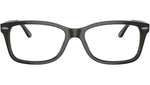 RB5428 Optics 8299