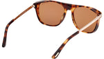 Lionel-02 FT1105 55E Spotted Havana Brown