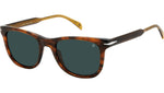 DB 1113/S EX4 KU Brown Horn