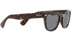 Laramie RB2201 902/B1 tortoise
