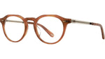 Dorian C Amber Tortoise