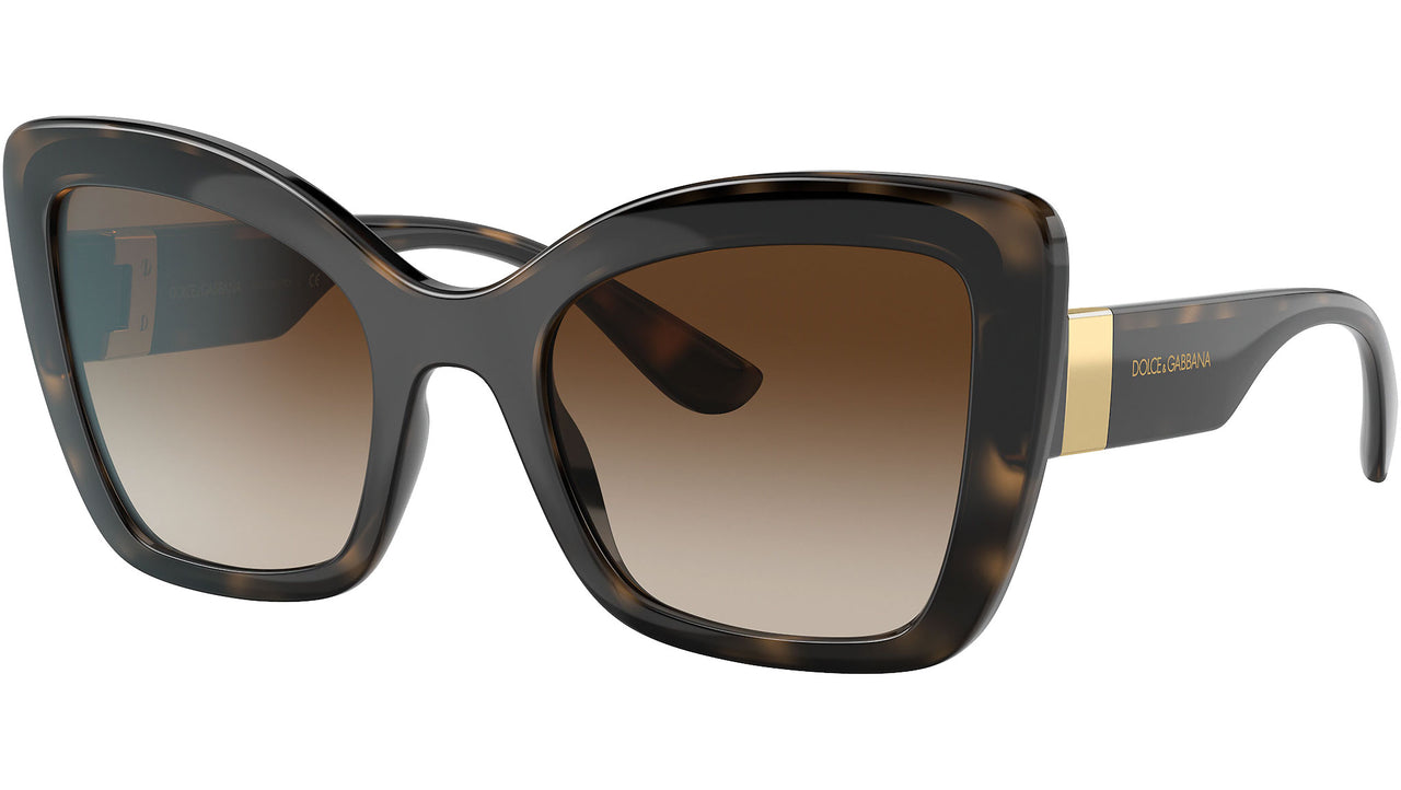 DG 6170 330613 tortoise