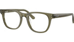 RB5461D Optics 8501