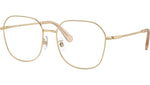 SK1009D 4013