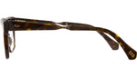 Lolita C Tortoise