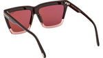 Eden FT1110 50Z Brown Violet