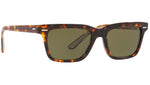 BA CC OV5388SU whiskey tortoise