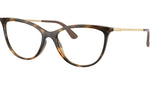 VO5239 W656 tortoise