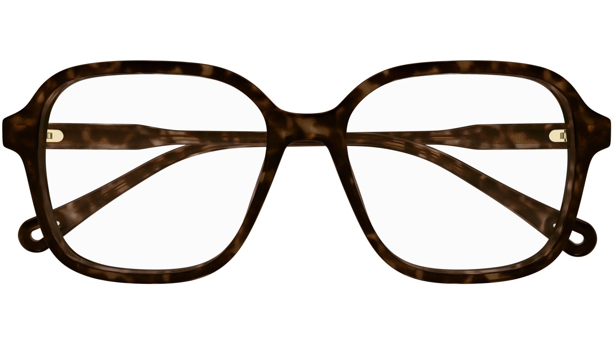 CH0313O Chloé Rectangular Eyeglasses 002 Havana - eye-oo.com