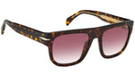 DB 7044/S 2IK 3X Havana Gold