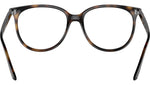 RB4378V Optics 2012