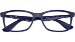 RB7047 Optics 8100