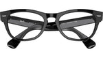 Laramie Optics RB2201V 2000