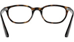 RY1599 3685 Tortoise
