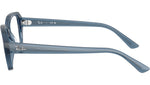RB7258 Optics 8434