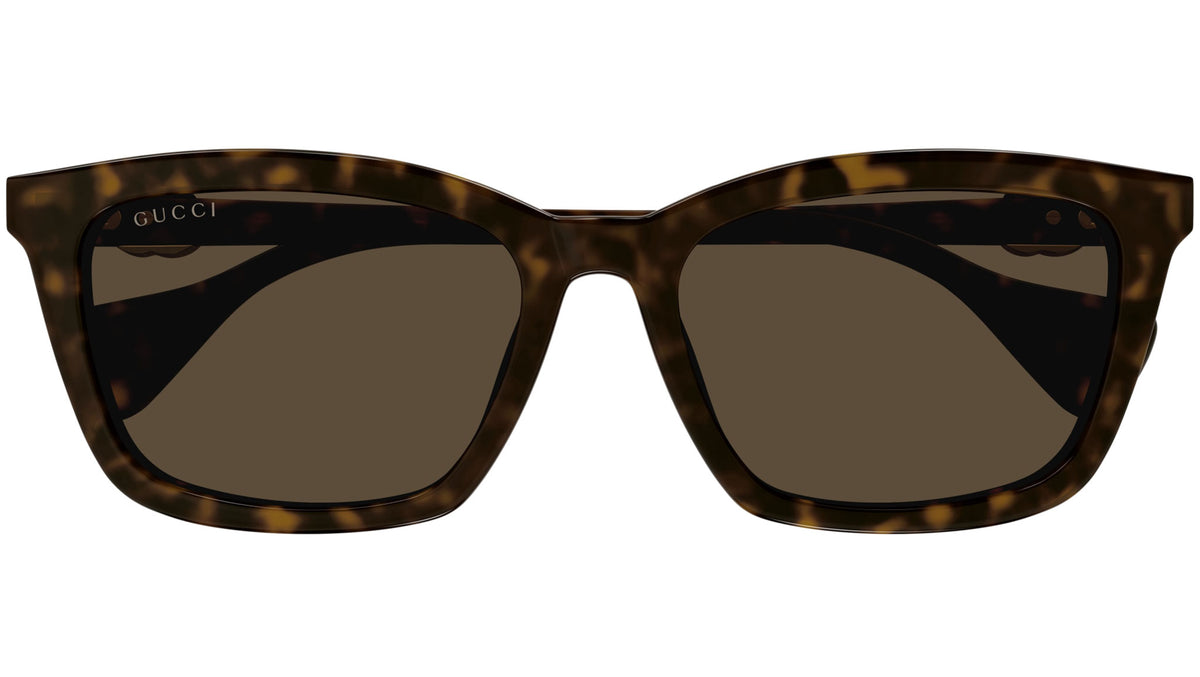Gucci GG1596SK 003 Sunglasses Dark Havana - eye-oo.com display picture 3