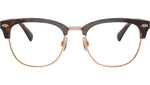PH2277 6137 Brown Tortoise