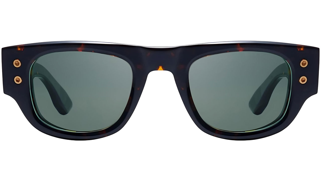 Muskel DTS701 02 Tortoise