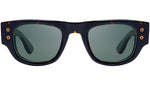 Muskel DTS701 02 Tortoise