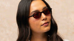 Feliz Sun Marigold Tortoise