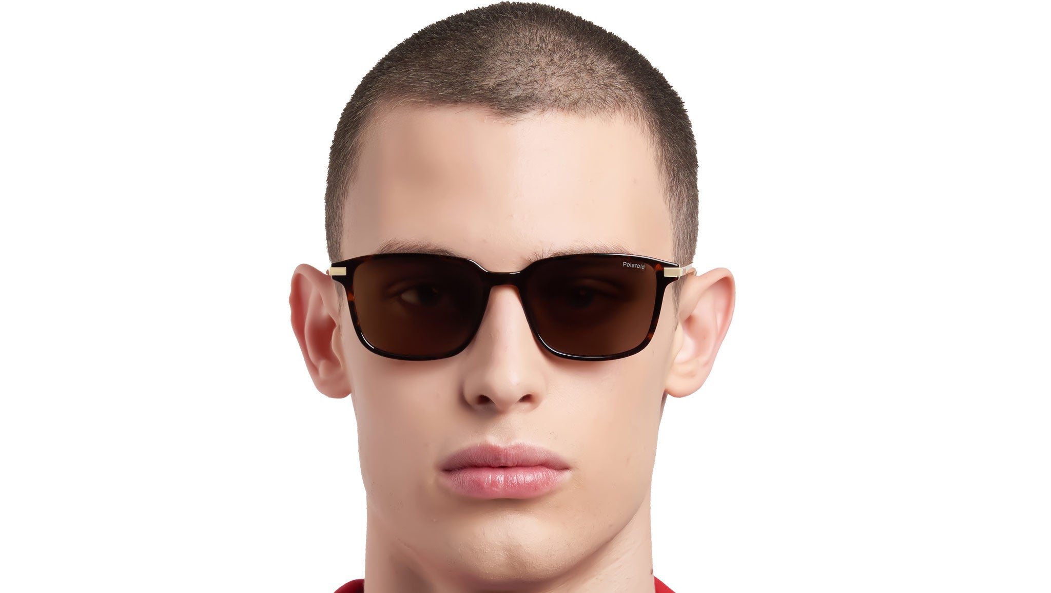 Polaroid PLD 4169/G/S/X 086 SP Sunglasses Havana - eye-oo.com