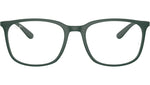 RB7199 Optics 8062