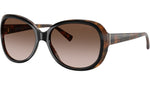 AR 8047 504913 Black